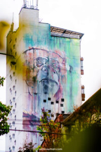 Read more about the article 13 Best Things to do in Medellin, Colombia