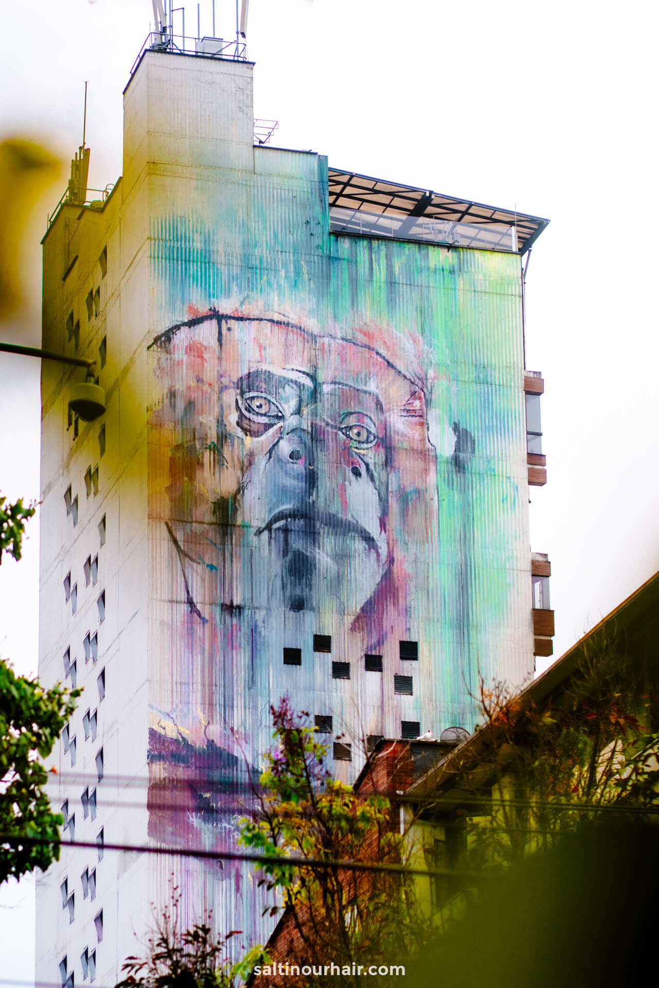 You are currently viewing 13 Best Things to do in Medellin, Colombia