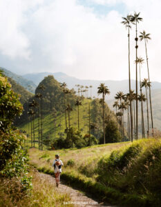 Read more about the article Cocora Valley, Colombia: Hike along the World’s Tallest Palm Trees