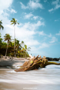 Read more about the article 10 Best Things to do in Colombia in 2022