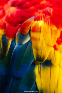 Read more about the article Colombia 2-Week Itinerary (Complete Travel Guide)