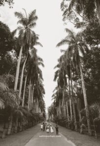 Read more about the article 9 Great Things To Do in Kandy, Sri Lanka