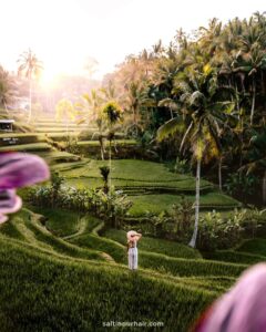 Read more about the article Best Time to Visit Bali, Indonesia