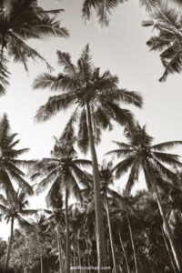Read more about the article 18 Best Beaches in Bali: A Must-Visit List!