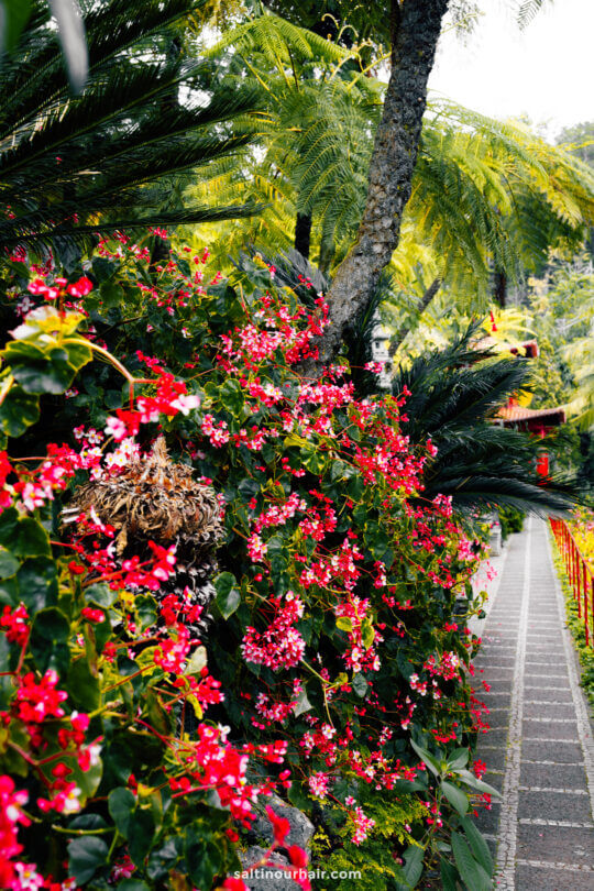 Read more about the article Monte Palace Gardens in Funchal, Madeira