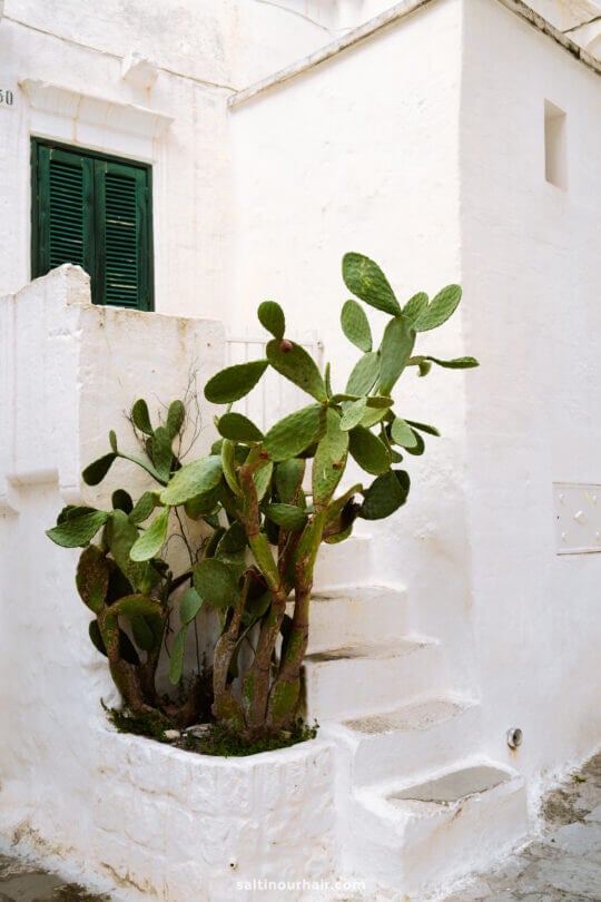 Read more about the article Puglia, Italy: Our 15 Favorite Things to do!
