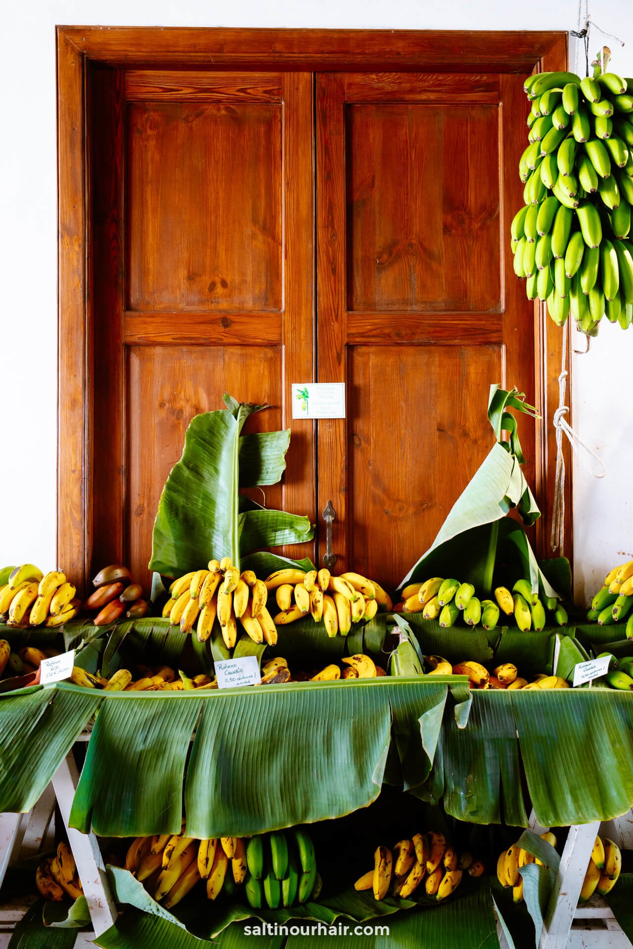 Read more about the article Best Things to do in Tenerife, Spain