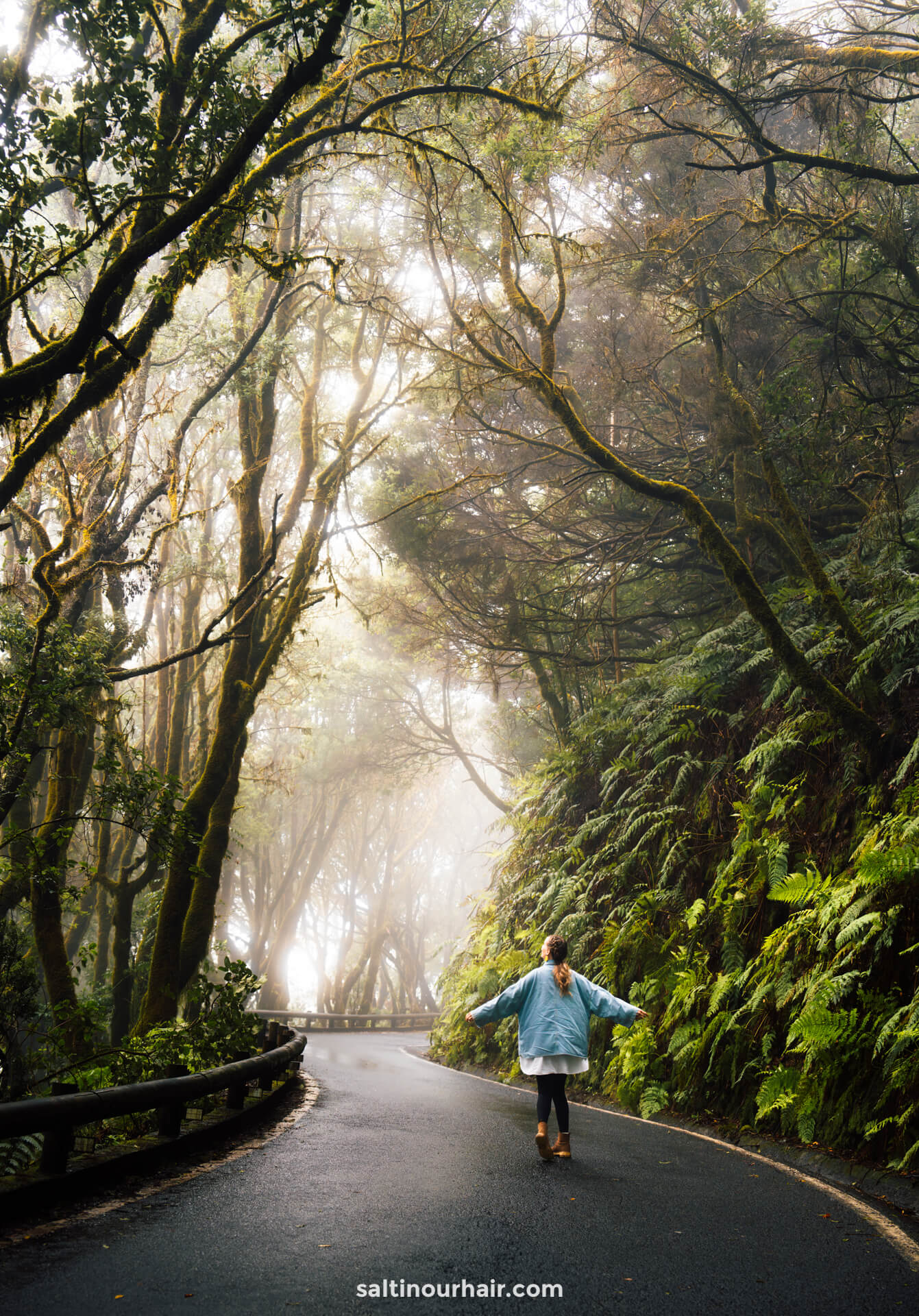 Read more about the article Anaga Rural Park, Tenerife: Ultimate Visitor’s Guide