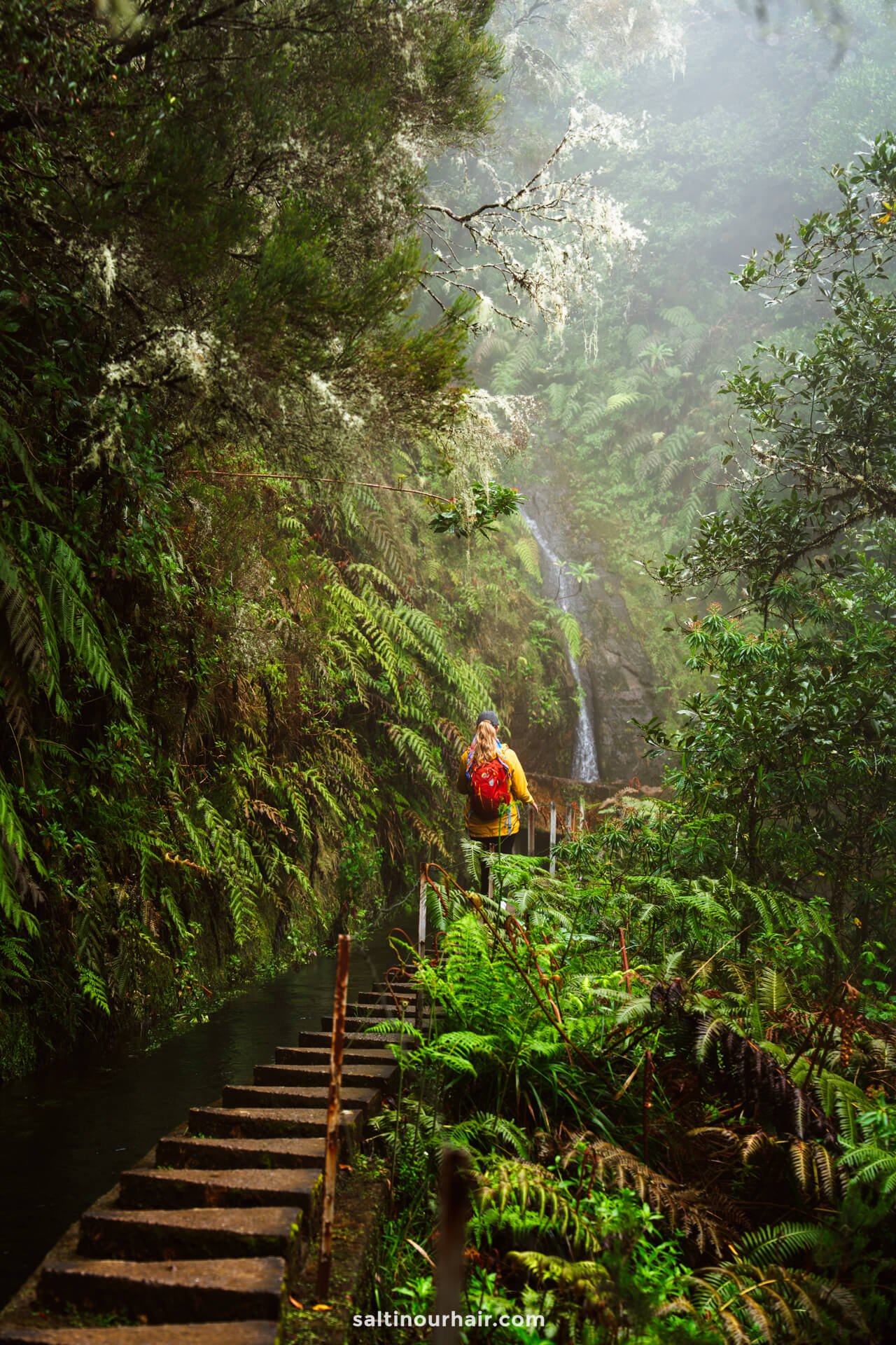 Read more about the article How to Hike PR17 Madeira (Caminho do Pináculo e Folhadal)